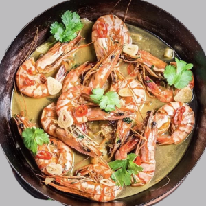 Baby caracatita & Baby calamar