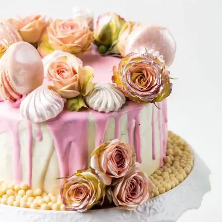 Tort Chocolate Melody Anim